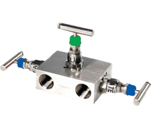 Seperately Mounted Manifold Manufacturer in India